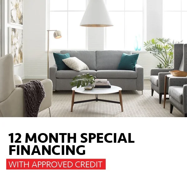 12 Months Special Financing (Valid From: January 1, 2021 to December 31, 2022) 12 Months Special Financing (Valid From: January 1, 2021 to December 31, 2022)