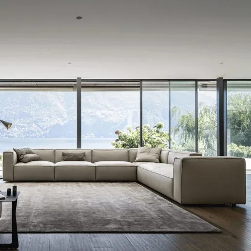 Minimalist designer sofa sets